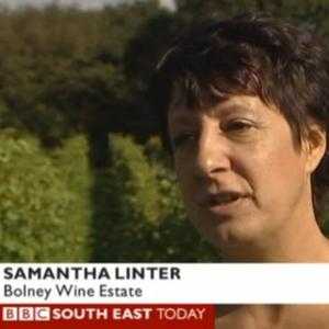 Bolney Wine Estate Celebrates